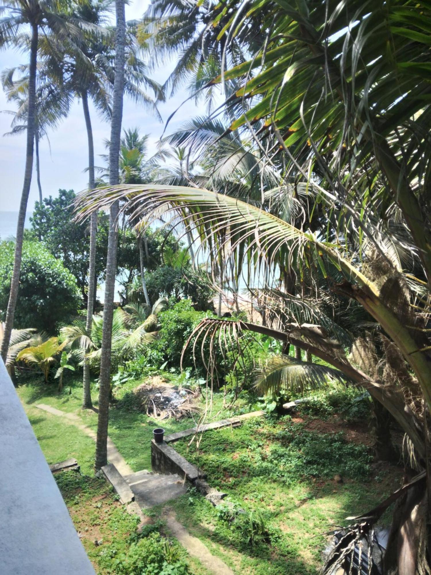 Sunray Rest - Beach View Homestay Mirissa Luaran gambar